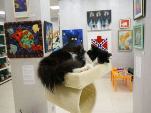 Музей кота фотография 6