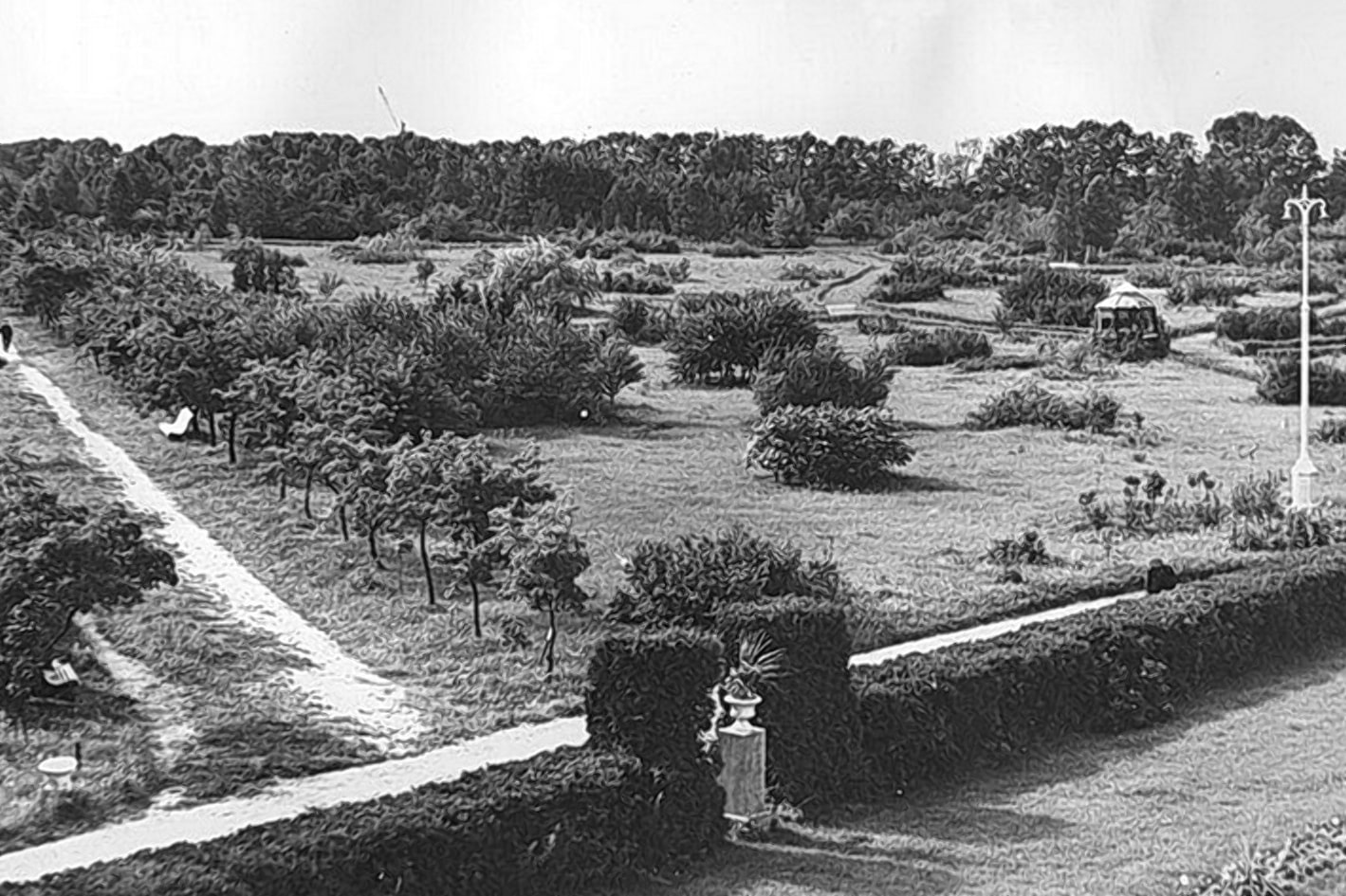 Минский ботанический сад в 1936 году