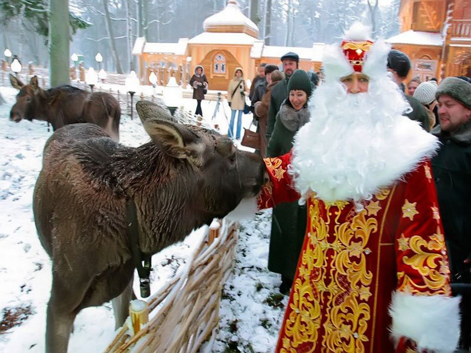Поездки в Беларусь зимой