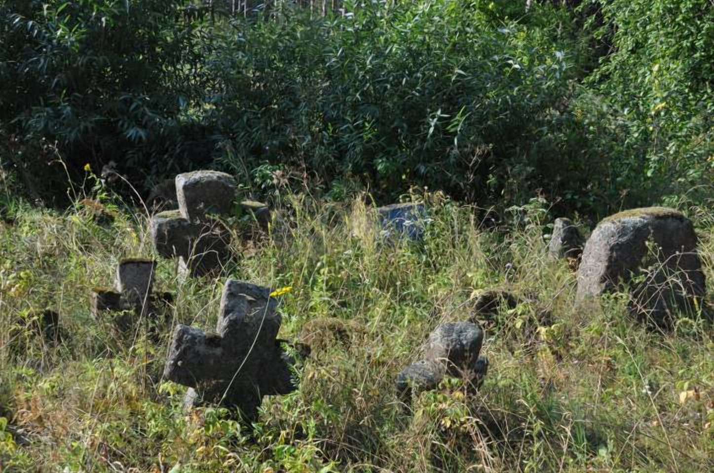 Каменные кресты Витебской области