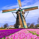 Корпоративные туры в Голландию