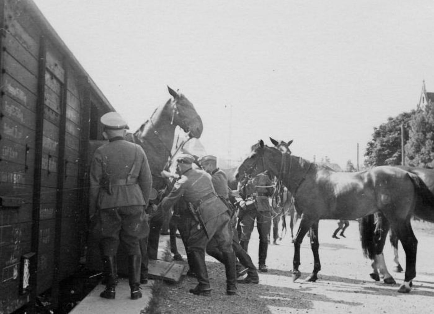 Жители Бреста с удивлением наблюдали за немецкими кавалеристами