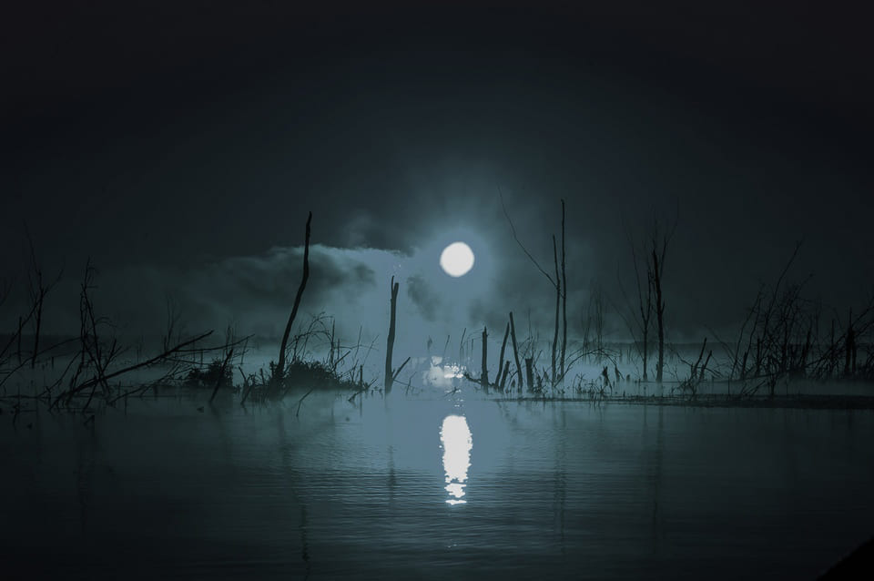 Ночные болота полны мистики